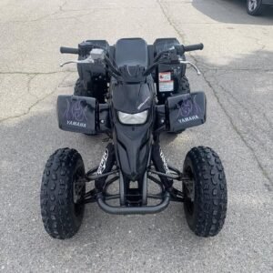 2006 Yamaha Blaster Special Edition